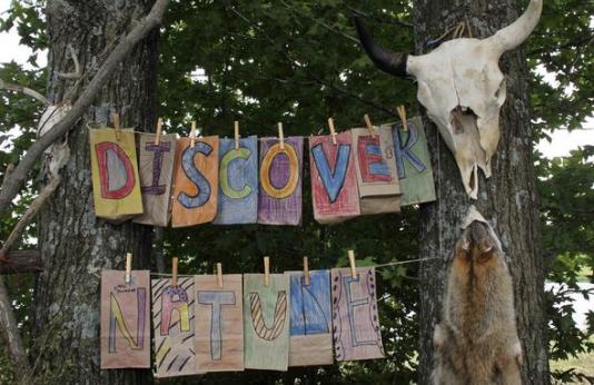 Discover Nature Field Day Sign