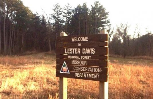 Lester R. Davis Memorial Forest 