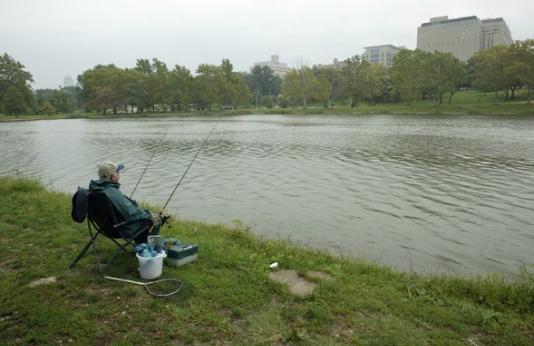 A man fishes at Jefferson Lake in Forest Park.