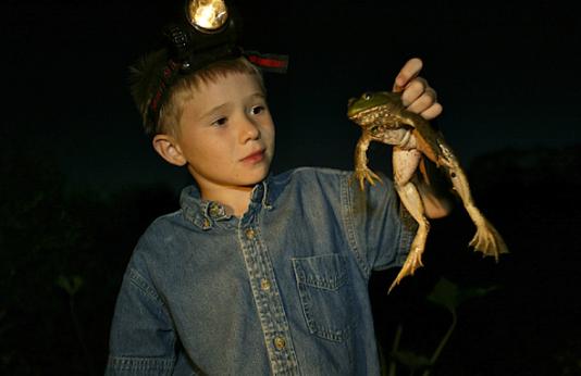 A little boy holding up a frog he harvest frogging