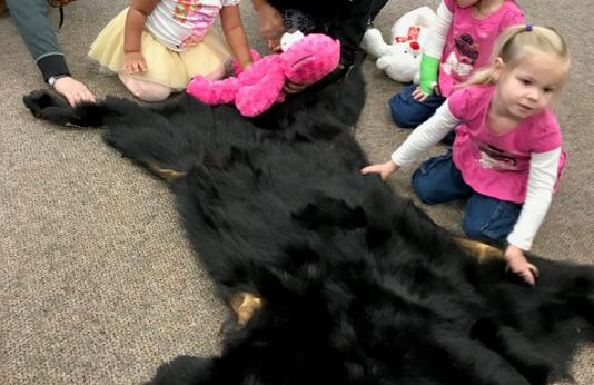 four preschoolers and a teacher examine a black-bear pelt
