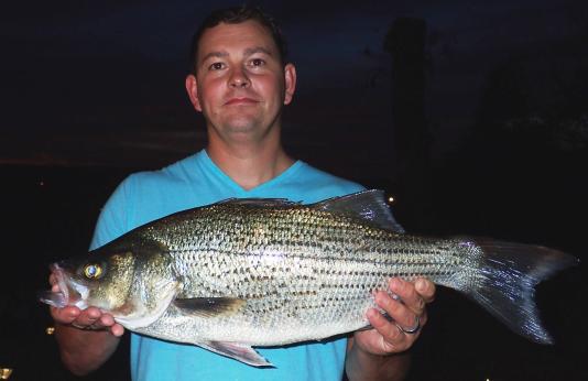 Mark McArtor with his state record hybrid striped bass.