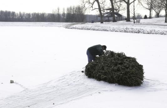 Christmas tree laying in the snow.