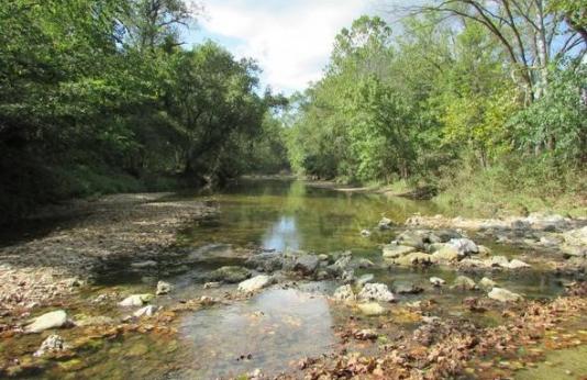 stream on Ranacker Conservation Area