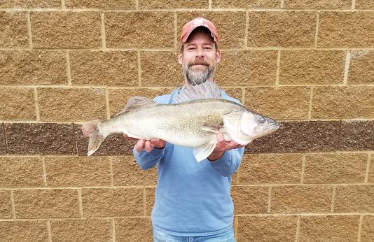 State-record walleye