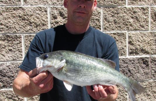 Jason Reynolds holding his state-record spotted bass.
