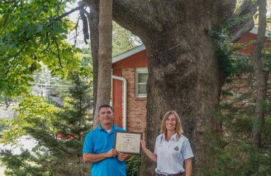 MDC Community Forester Ann Koenig presents Ryan Russell, with a State Champion Tree plaque in front of the state’s largest known chinkapin oak, located in Columbia.   