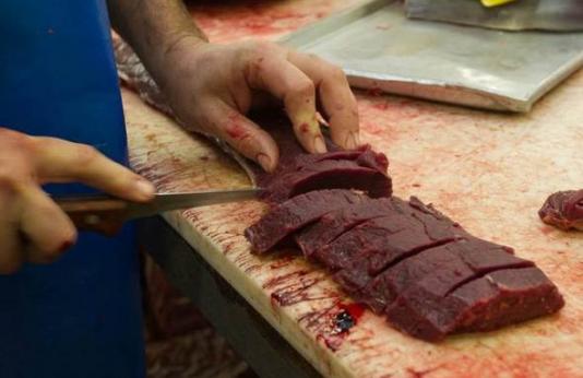 Deer meat being processed.
