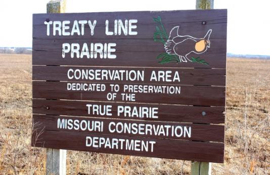 Treaty Line Prairie Conservation Area 