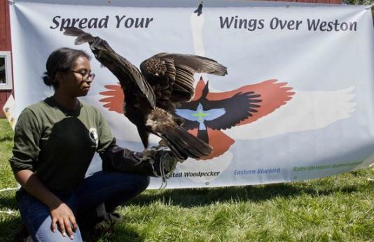 Serena Stodddard holding a turkey vulture.