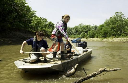 Two women pull a catfish onto their boat with a net.