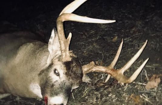 8 point buck harvested during firearms deer season