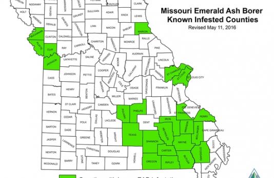 Map of Missouri displaying where EAB have been recorded.