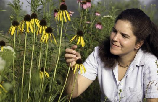 Woman and native coneflower