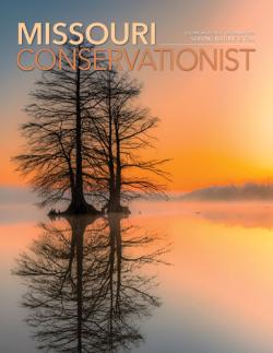 December Conservationist front cover