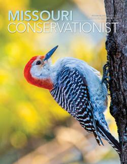Conservationist cover 04-2024